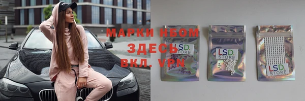 шишки Михайловск