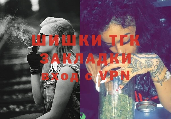 шишки Михайловск