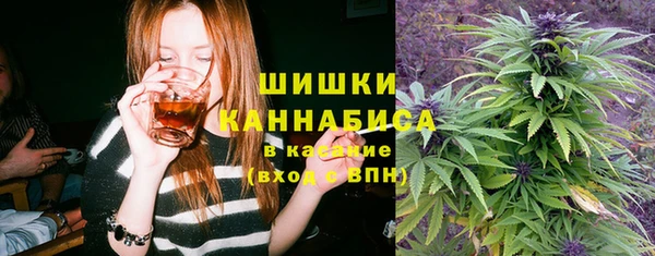 шишки Михайловск